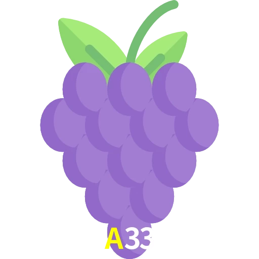 A33